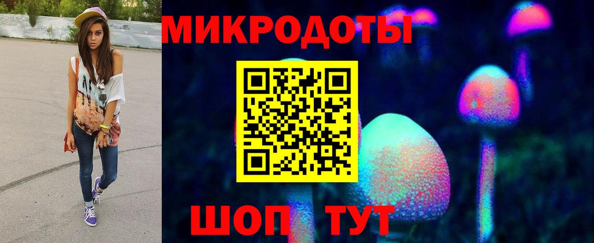 Псилоцибиновые грибы Psilocybe  Вход с VPN  Каменка 